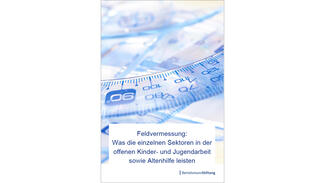 Feldvermessung: Was die einzelnen Sektoren in der offenen Kinder- und Jugendarbeit sowie Altenhilfe leisten (Cover)